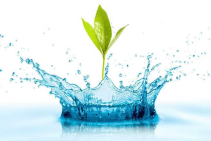 Tin Tức Về Nghành Nước Uống Tại Đức Hòa - Kim Chi Water