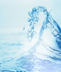 Kim Chi Water
