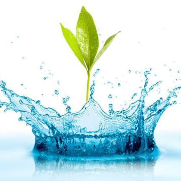 Tin Tức Về Nghành Nước Uống Tại Đức Hòa - Kim Chi Water